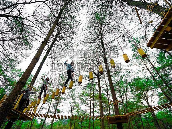 景區(qū)為什么要搭建叢林穿越設(shè)備？